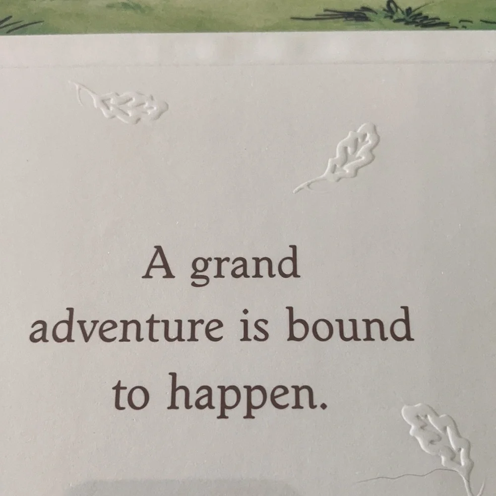 Winnie the Pooh Classic PROFESSIONAL FRAMED A Grand Adventure is bound to happen